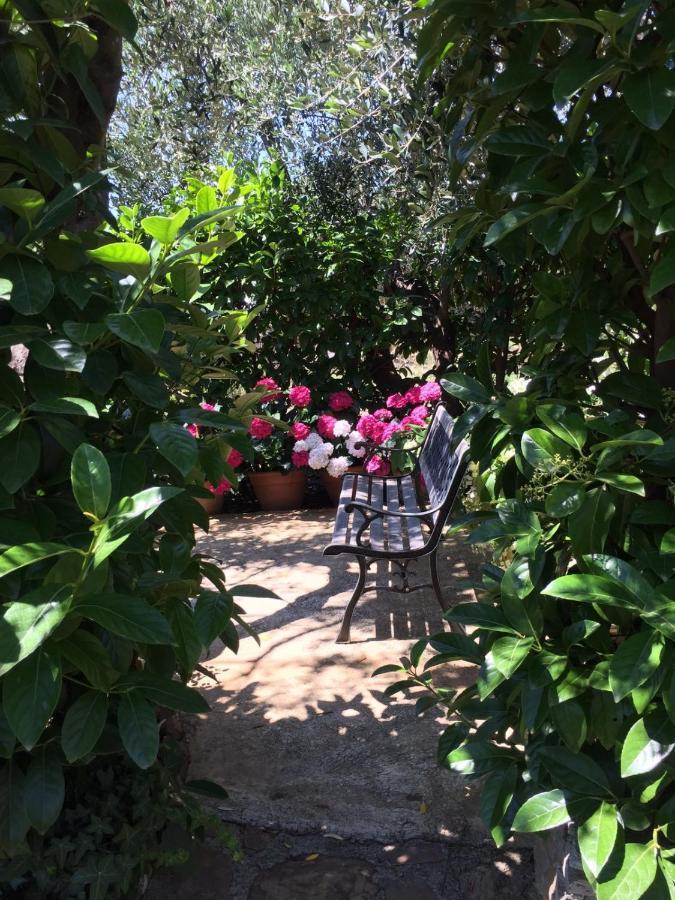 B&B Villa Isabella อิมเปรีอา ภายนอก รูปภาพ